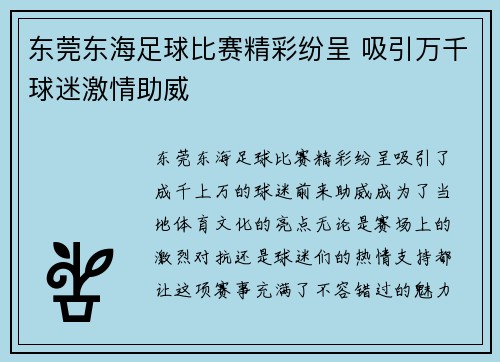 东莞东海足球比赛精彩纷呈 吸引万千球迷激情助威