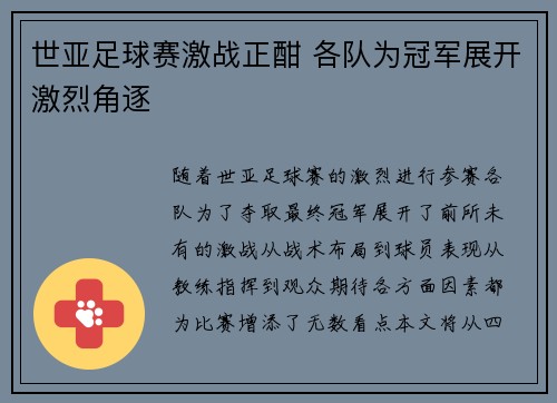 世亚足球赛激战正酣 各队为冠军展开激烈角逐