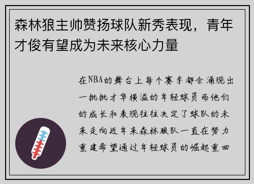 森林狼主帅赞扬球队新秀表现，青年才俊有望成为未来核心力量