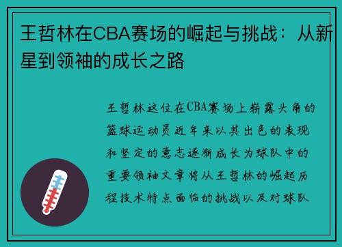 王哲林在CBA赛场的崛起与挑战：从新星到领袖的成长之路